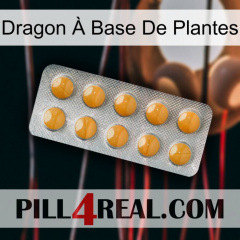 Dragon À Base De Plantes levitra1